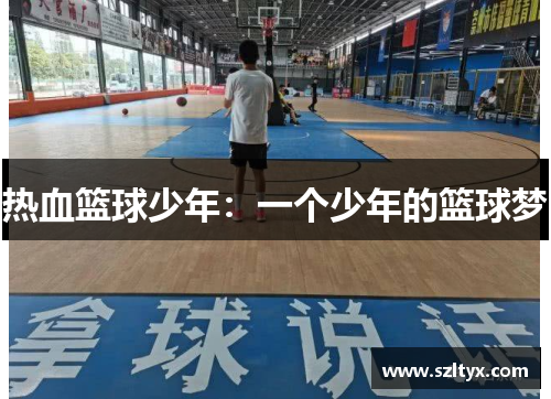 热血篮球少年：一个少年的篮球梦